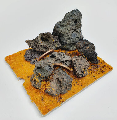 AntScape Biohobby 0123042804034