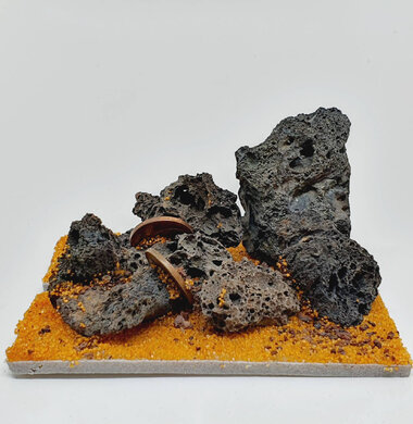 AntScape Biohobby 0123042804034