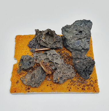 AntScape Biohobby 0123042804034