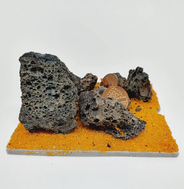 AntScape Biohobby 0123042804034