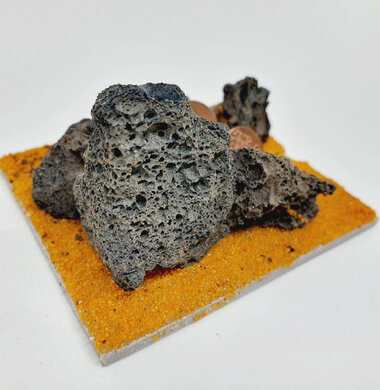 AntScape Biohobby 0123042804034