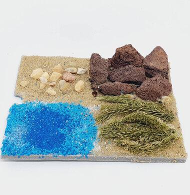 AntScape Biohobby 0123070508024