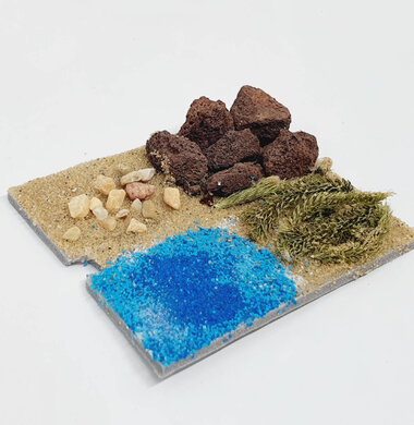 AntScape Biohobby 0123070508024