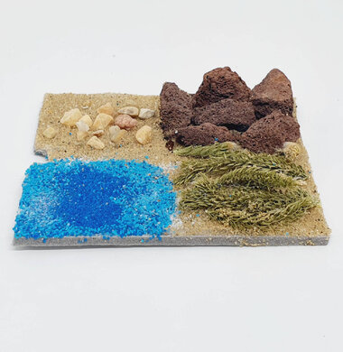 AntScape Biohobby 0123070508024