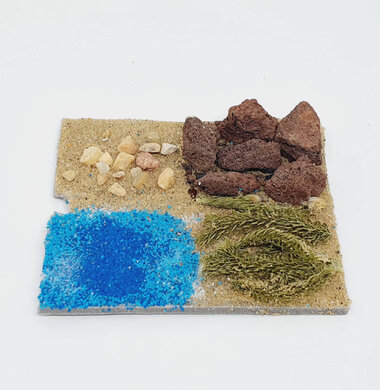 AntScape Biohobby 0123070508024