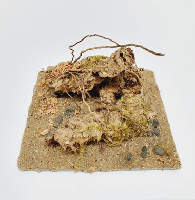 AntScape Biohobby 0223021401005