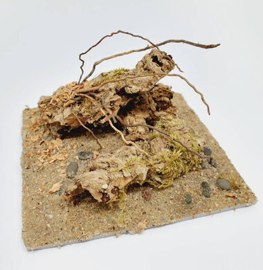 AntScape Biohobby 0223021401005