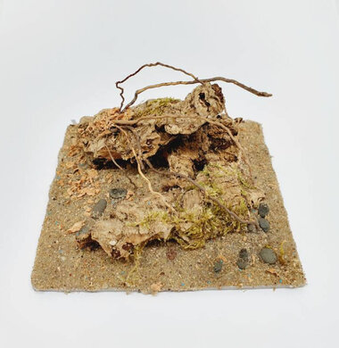 AntScape Biohobby 0223021401005