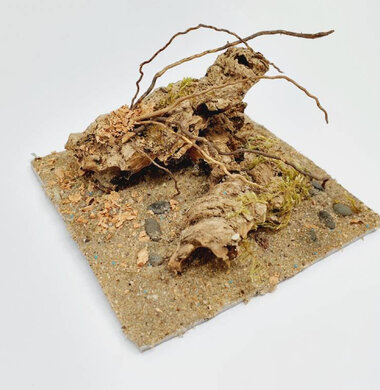 AntScape Biohobby 0223021401005