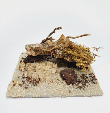 AntScape Biohobby 0223021401006