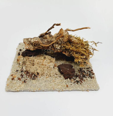 AntScape Biohobby 0223021401006