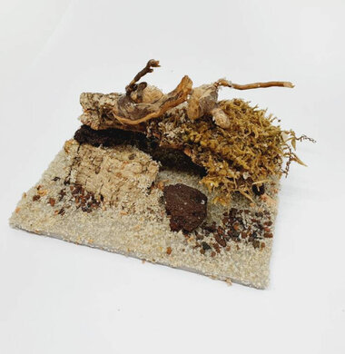 AntScape Biohobby 0223021401006