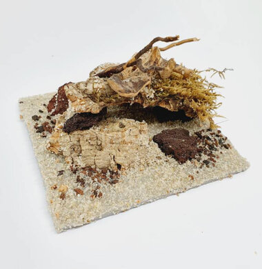 AntScape Biohobby 0223021401006