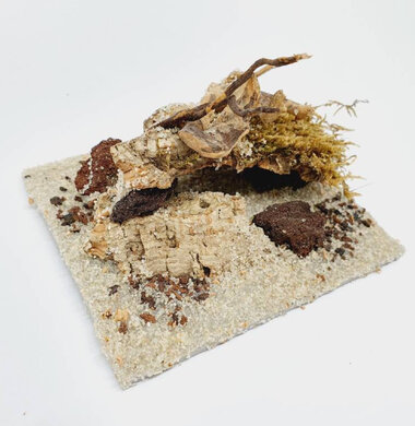 AntScape Biohobby 0223021401006