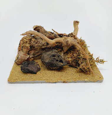 AntScape Biohobby 0223021401008