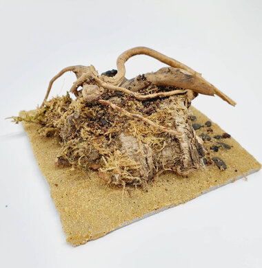 AntScape Biohobby 0223021401008