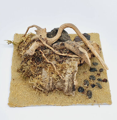 AntScape Biohobby 0223021401008