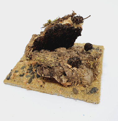 AntScape Biohobby 0223021401010