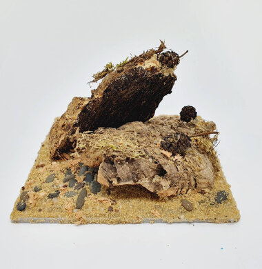 AntScape Biohobby 0223021401010