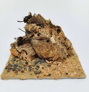 AntScape Biohobby 0223021401010