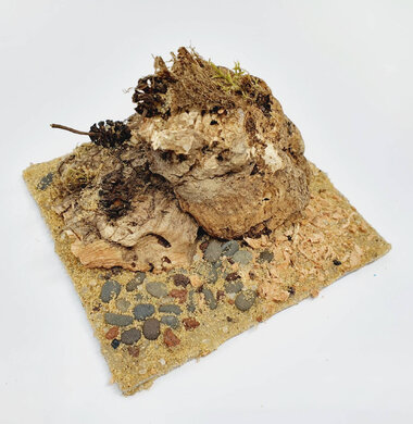 AntScape Biohobby 0223021401010