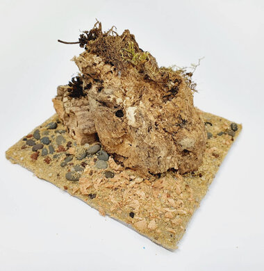 AntScape Biohobby 0223021401010