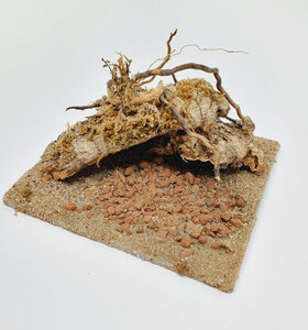 AntScape Biohobby 0223021401011