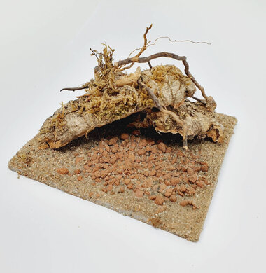 AntScape Biohobby 0223021401011