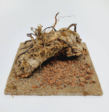 AntScape Biohobby 0223021401011