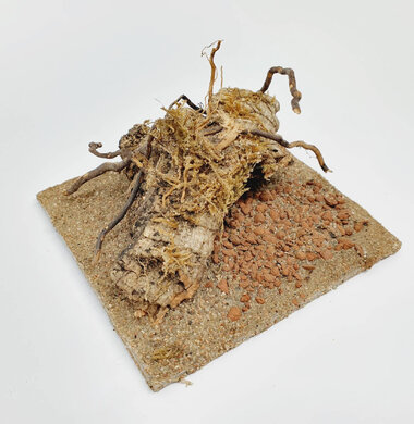 AntScape Biohobby 0223021401011