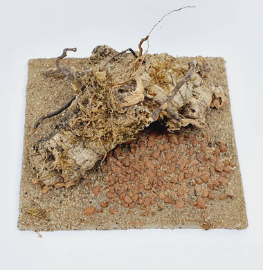 AntScape Biohobby 0223021401011