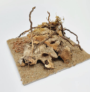 AntScape Biohobby 0223021401011