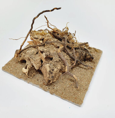 AntScape Biohobby 0223021401011