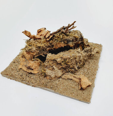 AntScape Biohobby 0223021401012