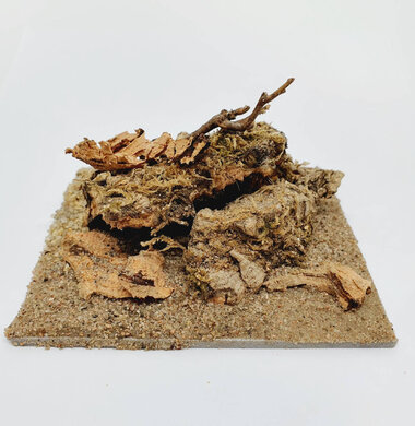 AntScape Biohobby 0223021401012