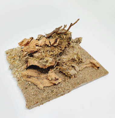 AntScape Biohobby 0223021401012