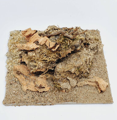 AntScape Biohobby 0223021401012