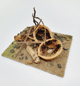 AntScape Biohobby 0223021501025