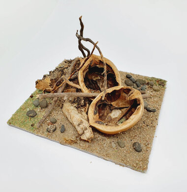 AntScape Biohobby 0223021501025