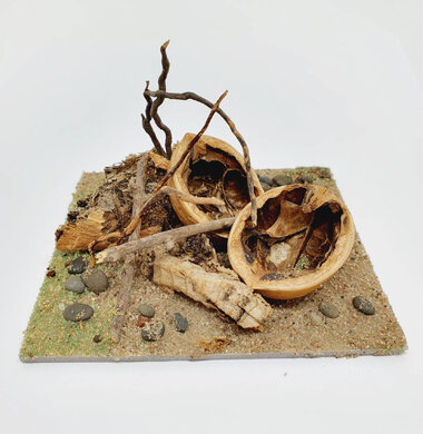 AntScape Biohobby 0223021501025