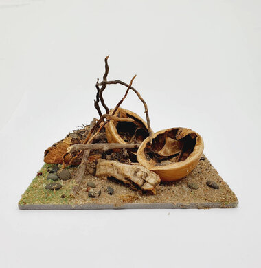 AntScape Biohobby 0223021501025