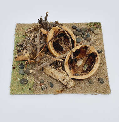 AntScape Biohobby 0223021501025