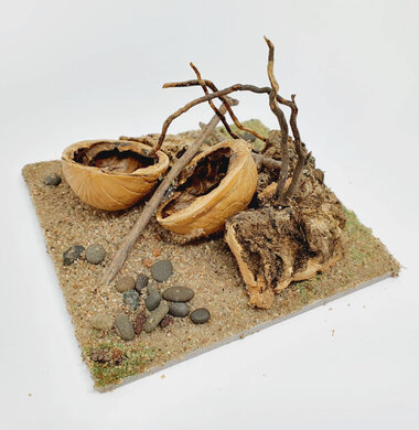 AntScape Biohobby 0223021501025