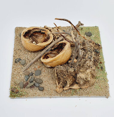 AntScape Biohobby 0223021501025