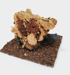 AntScape Biohobby 0223021503019