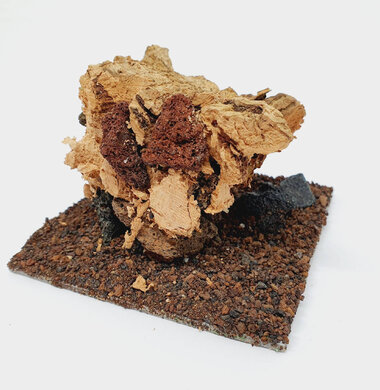 AntScape Biohobby 0223021503019