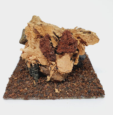 AntScape Biohobby 0223021503019