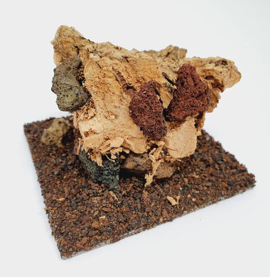 AntScape Biohobby 0223021503019