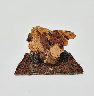 AntScape Biohobby 0223021503019