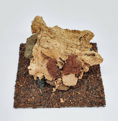 AntScape Biohobby 0223021503019